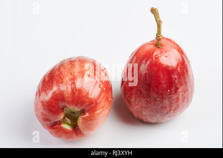 Crudo fresco rosa mela isolati su sfondo bianco Foto Stock