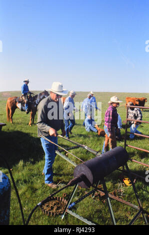 Cowboy tenendo un branding di ferro in un incendio nella primavera del branding su un Nebraska ranch Foto Stock