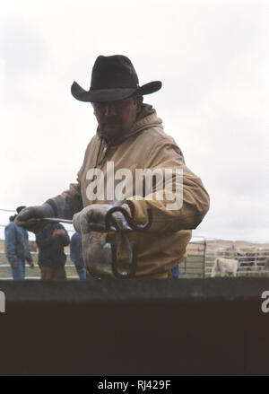 Cowboy in un ranch del Nebraska tenendo un ferro di branding Foto Stock