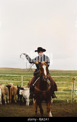 Cowboy a cavallo tenendo un lariat (tenendo in mano una corda) durante una molla il branding Foto Stock