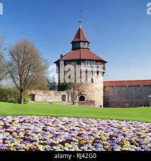 Frühlingsblüte an der Esslinger Burg, Esslingen am Neckar, Baden-Württemberg, Deutschland Foto Stock