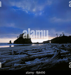 Seconda Spiaggia, Olympic Nationalpark Foto Stock