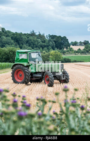 Karben, Assia, Deutschland, Fendt Favorit 4S , Baujahr 1967, 90 PS, Hubraum 5,2 l Foto Stock