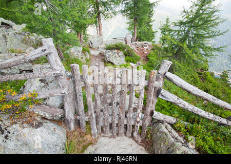 Bergwald im Val d Ultimo Foto Stock