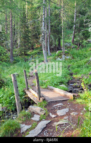 Bergwald im Val d Ultimo Foto Stock