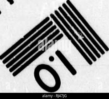 . Chiave per uccelli del Nord America [microformati] : contenente un conciso conto di ogni specie di vita e di uccelli fossili attualmente conosciuti dal continente nord del Messico e degli Stati Uniti, di confine inclusive della Groenlandia. Gli uccelli; ornitologia; Oiseaux; Ornithologie. ^. Si prega di notare che queste immagini vengono estratte dalla pagina sottoposta a scansione di immagini che possono essere state migliorate digitalmente per la leggibilità - Colorazione e aspetto di queste illustrazioni potrebbero non perfettamente assomigliano al lavoro originale. Coues, Elliott, 1842-1899. Boston : Estes e Lauriat Foto Stock