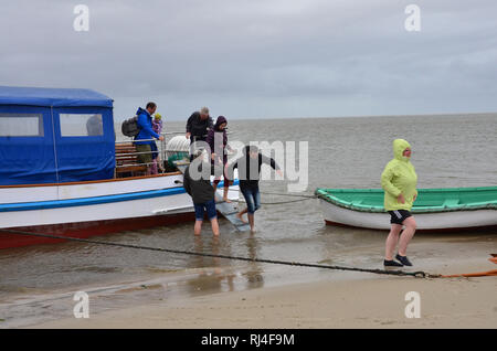 Deutschland, Schleswig-Holstein, Nordfriesland, Pellworm, Nordsee, Bootsausflug, Sandbank, Touristen, Foto Stock