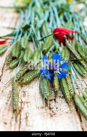 Stillleben Arrangiertes aus Naturmaterialien, Roggen?hren, Kornblume, Foto Stock