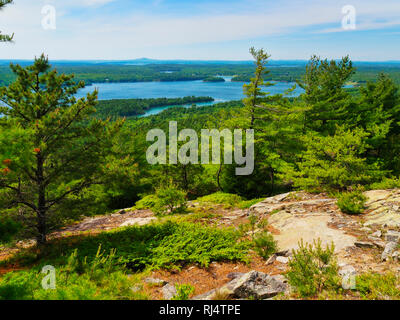 Scivolo gigante Carrello Loop Road, Parco Nazionale di Acadia, Maine, Stati Uniti d'America Foto Stock