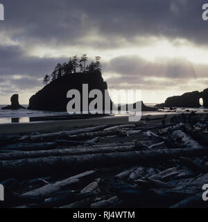 Seconda Spiaggia, Olympic Nationalpark Foto Stock