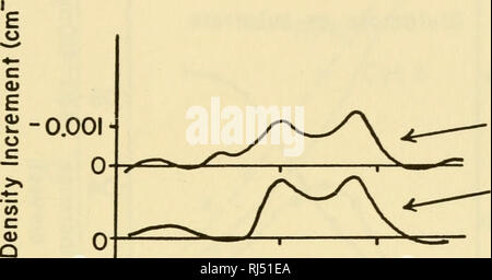 . Ciba Foundation Symposium sul regolamento del metabolismo cellulare. Il metabolismo cellulare. Il controllo di utilizzo di ossigeno 109 dicoumarol e ADP è stata menzionata in precedenza (possibilità, 1956), e viene ripetuto qui (Fig. 14). Qui confrontiamo le bande di assorbimento dei citocromi che scompaiono dopo l'aggiunta di ADP con quelli che scompaiono dopo aggiunta di dicoumarol. Se per esempio ci sono state un effetto selettivo di dicoumarol, quindi ci si aspetterebbe che le differenze di ri- sponses a questi agenti. Trattamento dei mitocondri con la. ADP oltre al membro 4 Dicoumarol oltre allo stato 4 - +0.00H 550 5 Foto Stock