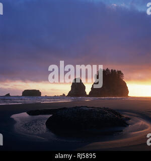 Seconda Spiaggia, Olympic Nationalpark Foto Stock