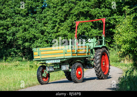 Breuberg, Assia, Deutschland, Fendt Dieselross F 231 GTS , Baujahr 1971, 32 PS, Hubraum 2218 ccm Foto Stock