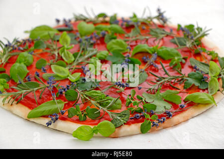 Pizza belegt mit verschiedensten Kräutern Foto Stock