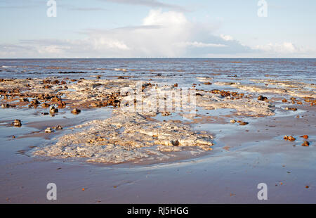Una vista di un affioramento del Cretaceo superiore chalk a bassa marea sulla Costa North Norfolk a West Runton, Norfolk, Inghilterra, Regno Unito, Europa. Foto Stock