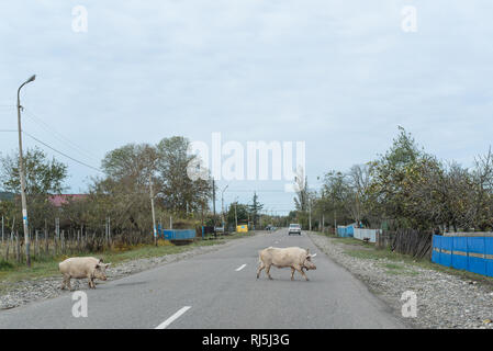 Roadtrip durch Georgien im Oktober 2016. Foto Stock