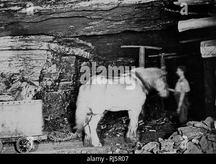 Cavallino del pozzo in una miniera di carbone Foto Stock