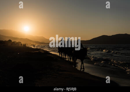 A cavallo sulla spiaggia al tramonto Foto Stock