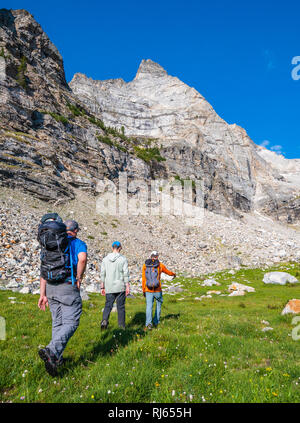 Brad Morris, Brandon Prince e Matt Ottaway avvicinamento pilota di Sky Foto Stock