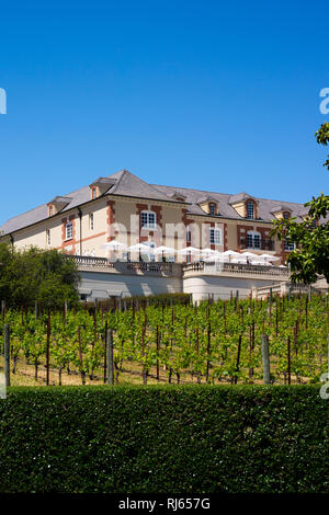 Domaine Carneros winery in Napa Valley, CA Foto Stock