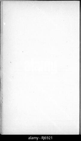 . Les oiseaux du Canada [microforme]. Oiseaux; uccelli. tu sa a sa giacciono et et ti^ V'O m( de bo ce: lïK in&LT; d'( un pr no sci de. Si prega di notare che queste immagini vengono estratte dalla pagina sottoposta a scansione di immagini che possono essere state migliorate digitalmente per la leggibilità - Colorazione e aspetto di queste illustrazioni potrebbero non perfettamente assomigliano al lavoro originale. Dionne C. -E. (Charles-Eusèbe), 1846-1925. [Québec? : S. n. ] Foto Stock