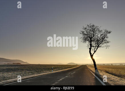 Deutschland, Thüringen, Mühlberg, Drei Gleichen, Straße, Baum, Sonne, Gegenlicht Foto Stock