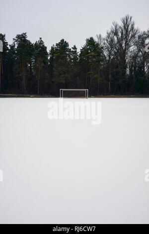 Im Fußballtor inverno una einem Waldrand, Spielfeld, Schnee Foto Stock
