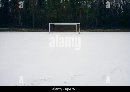 Im Fußballtor inverno una einem Waldrand, Spielfeld, Schnee Foto Stock