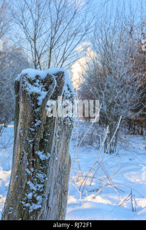 Verschneiter Holzpfahl im inverno Foto Stock