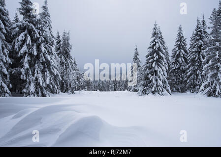 Blick von der Magdeburger Hütte, Harz, Torfhaus, Deutschland Foto Stock