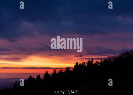 Alberi sagome contro un colore bellissimo cielo al tramonto, con montagne di strati in background Foto Stock