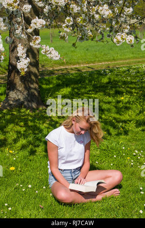 Junge blonde Frau sitzt in der Frühlingwiese und liest ein Buch, Foto Stock