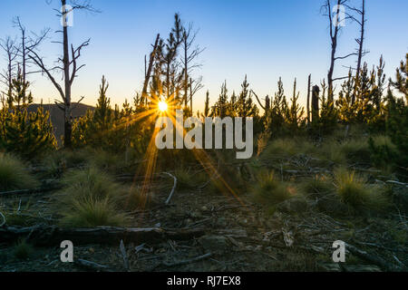 Große Antillen, Karibik, Dominikanische Republik, Zentralkordillere, Sonnenaufgang auf dem Pico Duarte