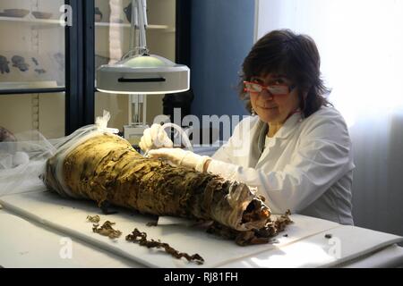 Restauro 'live' di una piccola mummia egiziana, con visitatori che assistono alle operazioni. Presso i Musei Civici di Modena, a partire da questa mattina i lavori di restauro da Cinzia Oliva, uno dei principali esperti italiani del settore. Le operazioni sulla mummia di un tre-anno-vecchio ragazzo vissuto tra il I e il II secolo D.C. (ROBERTO BRANCOLINI, Modena - 2019-02-05) p.s. la foto e' utilizzabile nel rispetto del contesto in cui e' stata scattata, e senza intento diffamatorio del decoro delle persone rappresentate Foto Stock