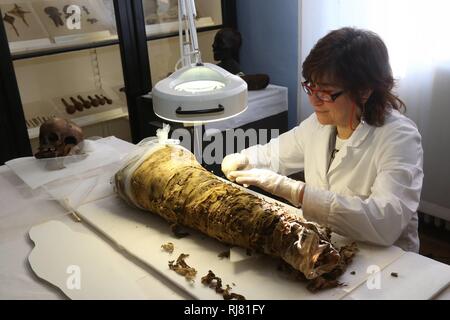 Restauro 'live' di una piccola mummia egiziana, con visitatori che assistono alle operazioni. Presso i Musei Civici di Modena, a partire da questa mattina i lavori di restauro da Cinzia Oliva, uno dei principali esperti italiani del settore. Le operazioni sulla mummia di un tre-anno-vecchio ragazzo vissuto tra il I e il II secolo D.C. (ROBERTO BRANCOLINI, Modena - 2019-02-05) p.s. la foto e' utilizzabile nel rispetto del contesto in cui e' stata scattata, e senza intento diffamatorio del decoro delle persone rappresentate Foto Stock