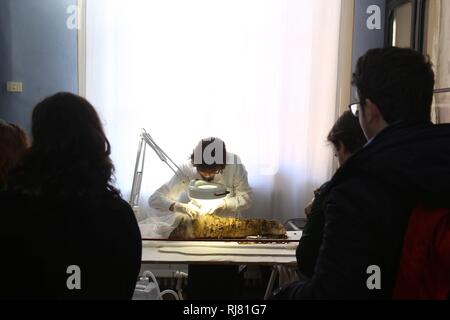 Restauro 'live' di una piccola mummia egiziana, con visitatori che assistono alle operazioni. Presso i Musei Civici di Modena, a partire da questa mattina i lavori di restauro da Cinzia Oliva, uno dei principali esperti italiani del settore. Le operazioni sulla mummia di un tre-anno-vecchio ragazzo vissuto tra il I e il II secolo D.C. (ROBERTO BRANCOLINI, Modena - 2019-02-05) p.s. la foto e' utilizzabile nel rispetto del contesto in cui e' stata scattata, e senza intento diffamatorio del decoro delle persone rappresentate Foto Stock