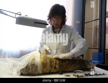 Restauro 'live' di una piccola mummia egiziana, con visitatori che assistono alle operazioni. Presso i Musei Civici di Modena, a partire da questa mattina i lavori di restauro da Cinzia Oliva, uno dei principali esperti italiani del settore. Le operazioni sulla mummia di un tre-anno-vecchio ragazzo vissuto tra il I e il II secolo D.C. (ROBERTO BRANCOLINI, Modena - 2019-02-05) p.s. la foto e' utilizzabile nel rispetto del contesto in cui e' stata scattata, e senza intento diffamatorio del decoro delle persone rappresentate Foto Stock