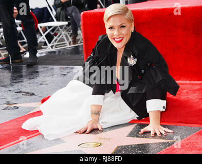 Los Angeles, Stati Uniti d'America. 5 febbraio, 2019. Rosa - ( Alecia Beth Moore ) assistere ad una cerimonia in onore di lei con il 2.656th della stella sulla Hollywood Walk of Fame nel febbraio 05, 2019 a Hollywood, California Credit: Tsuni / USA/Alamy Live News Foto Stock