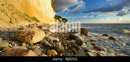 Deutschland, Meclenburgo-Pomerania Occidentale, Insel Rügen, Nationalpark Jasmund, Kreidefelsen, Findlinge, Morgenlicht Foto Stock