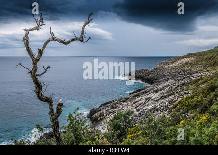 Albanien, Balkanhalbinsel, Südosteuropa, Republik Albanien, Trekking, Grün-Blaues Albanien, Albanische Riviera, Küstentrekking, Küstengebirge, Foto Stock