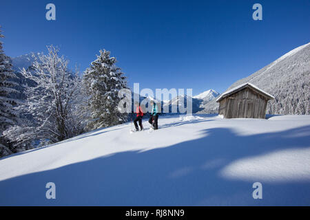 Schneeschuhtour zum Pfuitjöchl, Ammergauer Alpen, Tirol Österreich Foto Stock