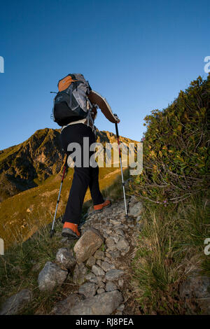 Wanderszene am Kellerjoch, Tuxer Alpen, Zillertal, Tirol Österreich Foto Stock