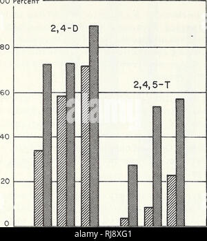 . Controllo chimico della spazzola in ponderosa pine foreste del centro di Oregon. Comando spazzola Oregon; Ponderosa Pine Oregon. Boccioli terminali morti 100 percento. 0,75 1,00 1,50 0,75 1,00 1,50 RATE ( Pounds per acre ) Legenda: Water carrier carrier emulsione di figura 7. - Percentuale media della Ponderosa Pine -boccioli terminale ucciso da 2, 4 D e 2, 4, 5 - T applicata durante il crescente mare- figlio (risultati combinati per il 5 maggio, 26 maggio e 1 luglio 1955 - base, 72 lotti). Il vettore di emulsione conteneva 1 gallone di olio estivo per acro. Boccioli terminali morti 100% t-- 80 60 40 LI 20 5TH 26 MAGGIO I vettore acqua Emuls Foto Stock