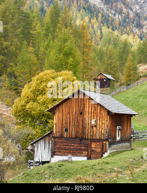 Mulino ad acqua nella Valle dei Mulini, Longiaru, Dolomiti, Alta Badia, Alto Adige, Italia Foto Stock