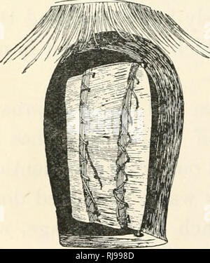 . Chiefs e città dell Africa centrale, attraverso il lago Ciad a titolo del britannico, francese e tedesco dei territori. Storia naturale -- Africa; Africa centrale -- descrizione e viaggi; Africa, West -- descrizione e viaggi. 88 capi &AMP; CITTÀ DELL AFRICA CENTRALE acquisita. Egli ha superato il suo braccio attraverso la sua vittima e lo ha portato fuori in trionfo al villaggio. Abbiamo seguito la mattina in cui siamo stati al di sopra di ogni sospetto, e la gente ci ha portato a visitare casa dopo la casa. Un uovo-shell è universalmente il simbolo di fertilità e molte superstizioni sono cresciuti attorno ad esso. Li abbiamo in Inghilterra, così ha t Foto Stock