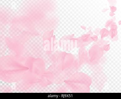 Sakura petalo battenti sfondo vettoriale. Rosa petali di fiori wave illustrazione isolato su bianco trasparente. 3D Romantico San Valentino offerta di primavera Illustrazione Vettoriale