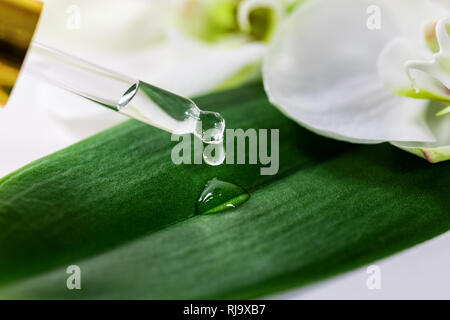 Olio essenziale goccia che cade sulla foglia verde dal contagocce in vetro Foto Stock