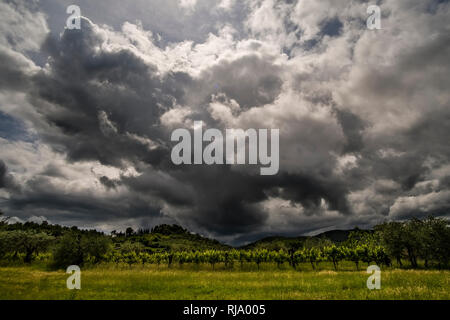 Typical Tuscan countryside with hills, vineyards and trees, dark thunderstorm clouds approaching Foto Stock