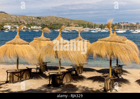 Ombrelloni e sedie a sdraio, City Beach, Port de Pollenca, nordest dell'isola di Mallorca, Mare mediterraneo, Isole Baleari, Spagna, Europa meridionale Foto Stock