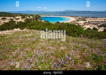 La baia Voidokilia presso il Peloponneso con spiaggia lilla in Grecia Foto Stock